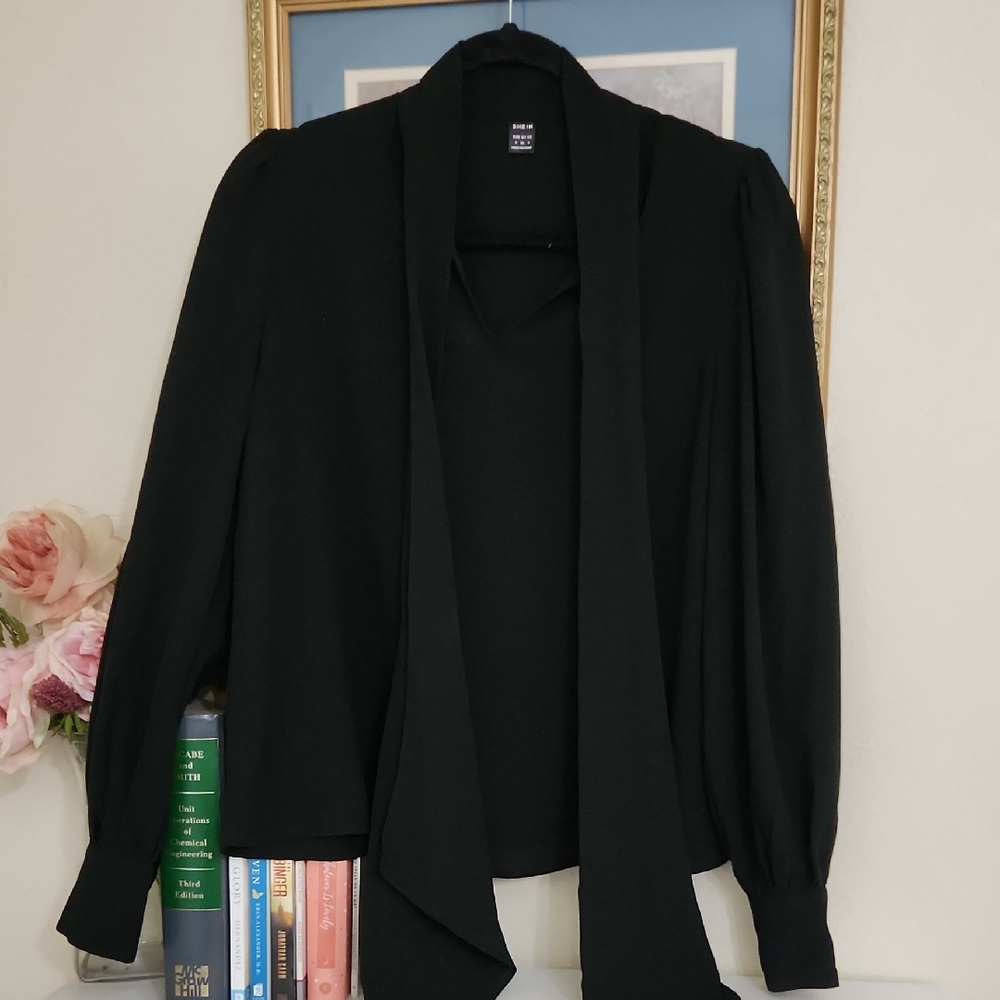Black Long Sleeve Blouse